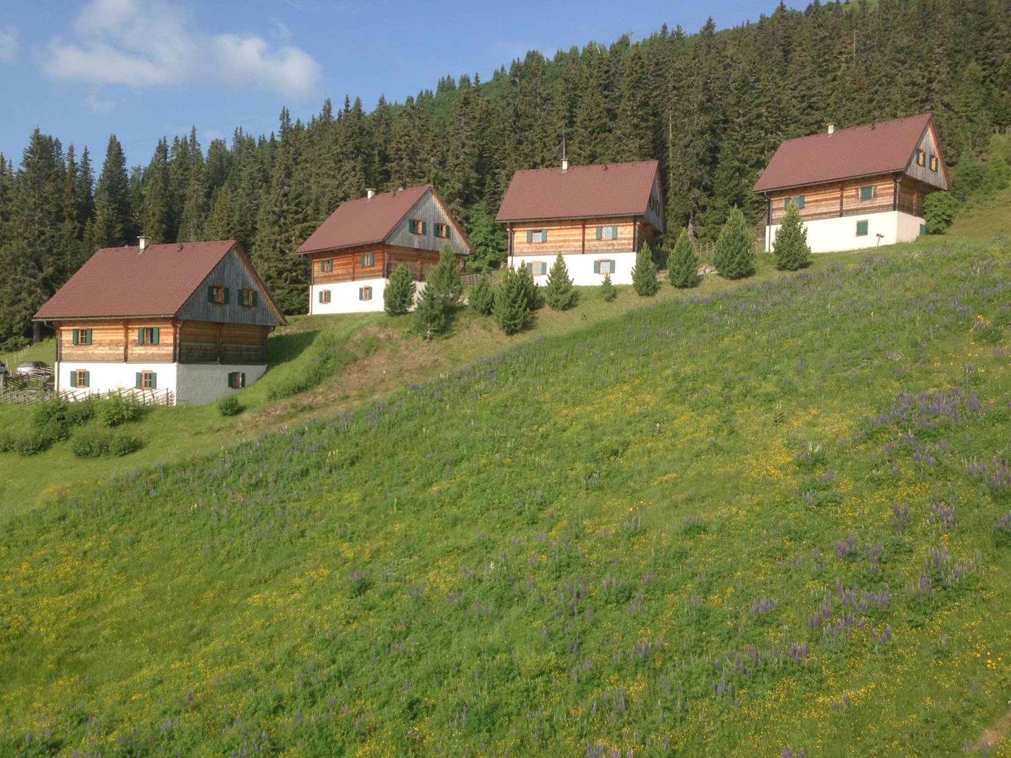 Moselebaueralm Villa Klippitztorl ภายนอก รูปภาพ